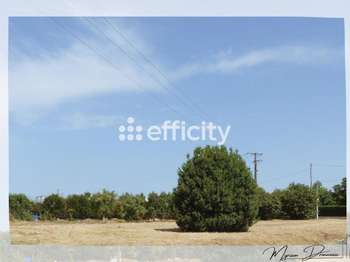 Vente de terrain