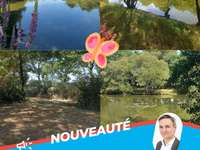 Vente de terrain Vente de terrain