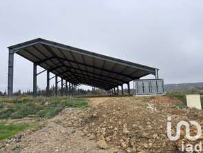 Vente Terrain 16205 m&sup2;Sigean