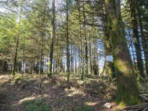 Vente Terrain 5600 m&sup2;Silfiac