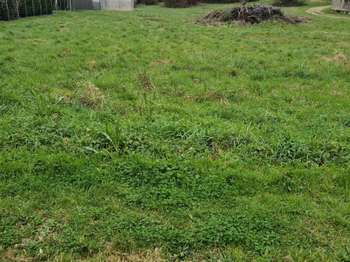 Vente de terrain Soubran 17