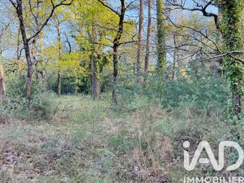Vente de terrain
