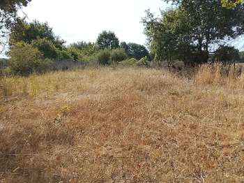Vente Terrain 2400 m&sup2;Soulaines-sur-Aubance