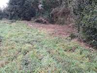 Vente de terrain