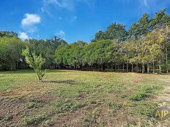 Vente de terrain Soullans 85