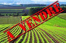 Vente Terrain 4900 m&sup2;Sourdeval