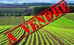 Photo Vente de terrain Sourdeval
