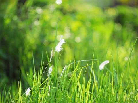 Vente de terrain Sucé-sur-Erdre 44