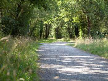 Vente Terrain 484 m&sup2;Sucé-sur-Erdre