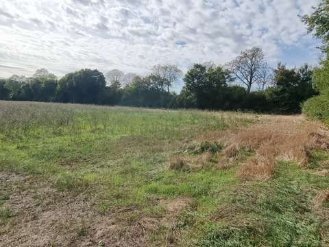 Vente de terrain Surgères 17