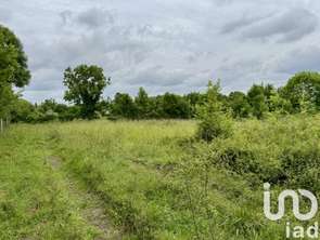 Vente Terrain 3864 m&sup2;Surin