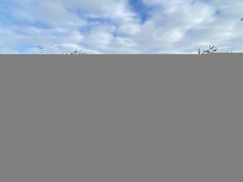 Vente Terrain 2780 m&sup2;Surrain