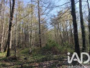 Vente Terrain 48910 m&sup2;Sury-près-Léré