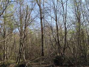 Vente Terrain 33330 m&sup2;Sury-près-Léré