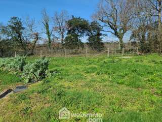 Vente de terrain