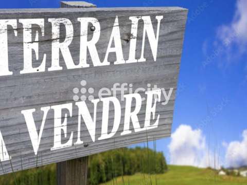 Vente de terrain Talmont-Saint-Hilaire 85
