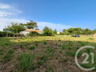 Vente de terrain