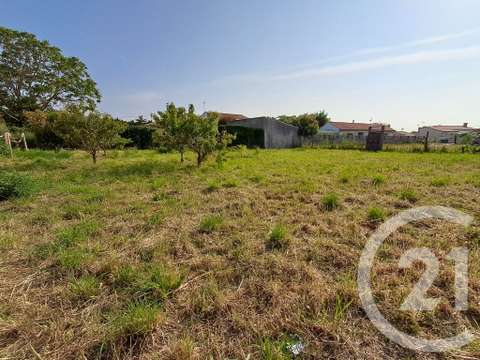 Vente de terrain