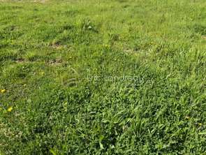 Vente Terrain 310 m&sup2;Talmont-Saint-Hilaire