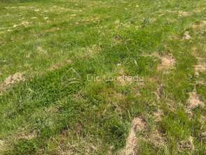 Vente Terrain 770 m&sup2;Talmont-Saint-Hilaire