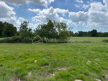 Vente de terrain Talmont-Saint-Hilaire 85