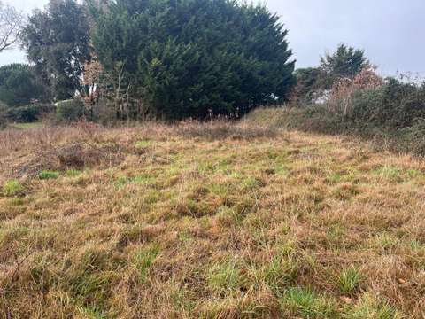 Vente de terrain Talmont-Saint-Hilaire 85