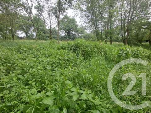 Vente de terrain