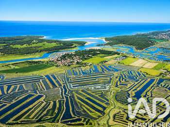 Vente de terrain Talmont-Saint-Hilaire 85
