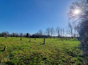 Vente de terrain