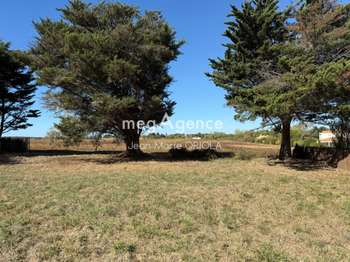 Vente de terrain