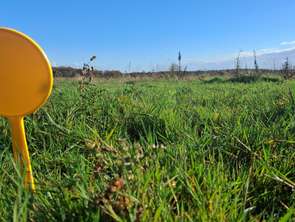 Vente Terrain 647 m&sup2;Teillay