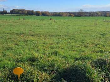 Vente de terrain