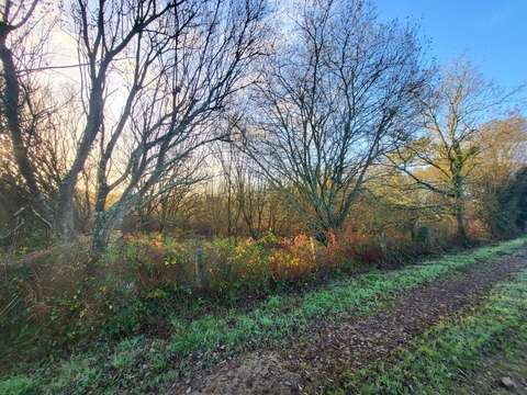 Vente de terrain Telgruc-sur-Mer 29