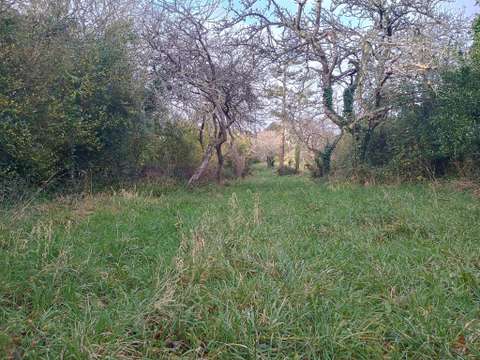 Vente de terrain