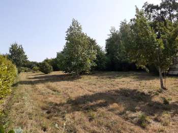 Vente TerrainTelgruc-sur-Mer