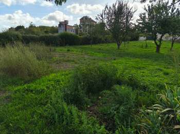 Vente de terrain