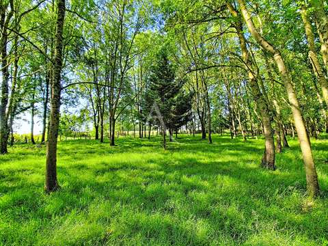 Vente de terrain Terranjou 49
