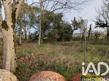 Vente de terrain