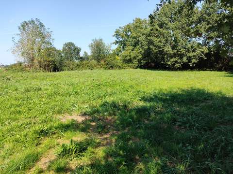 Vente de terrain Tesson 17