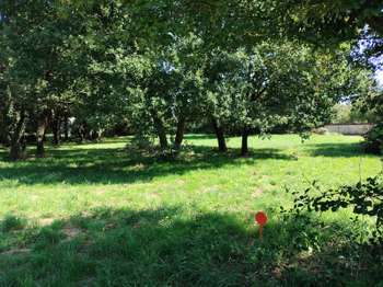 Vente de terrain Tesson 17