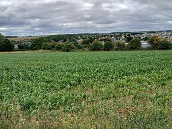 Vente Terrain 430 m&sup2;Thaon