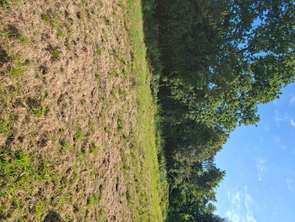 Vente Terrain 377 m&sup2;Theix-Noyalo