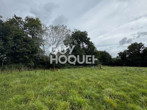 Vente de terrain Theix-Noyalo 56