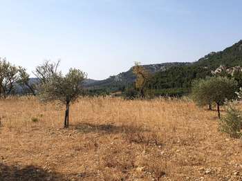 Vente de terrain Thézan-des-Corbières 11