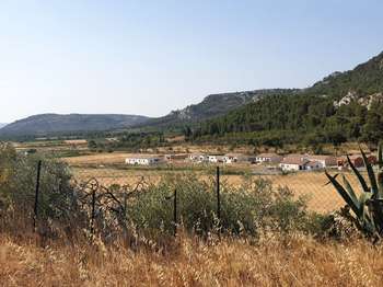 Vente Terrain 2533 m&sup2;Thézan-des-Corbières