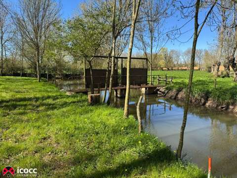 Vente de terrain Thiré 85