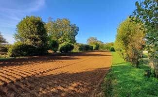 Photo Vente de terrain Thiré