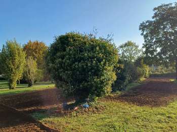 Vente Terrain 918 m&sup2;Thiré