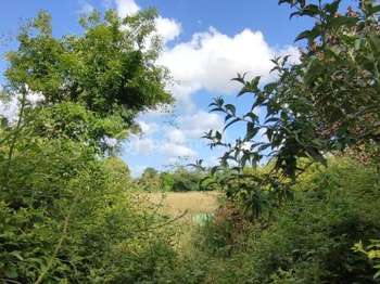 Vente de terrain Thorigné 79