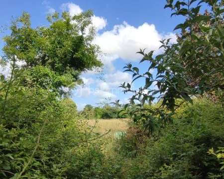 Vente de terrain Thorigné 79